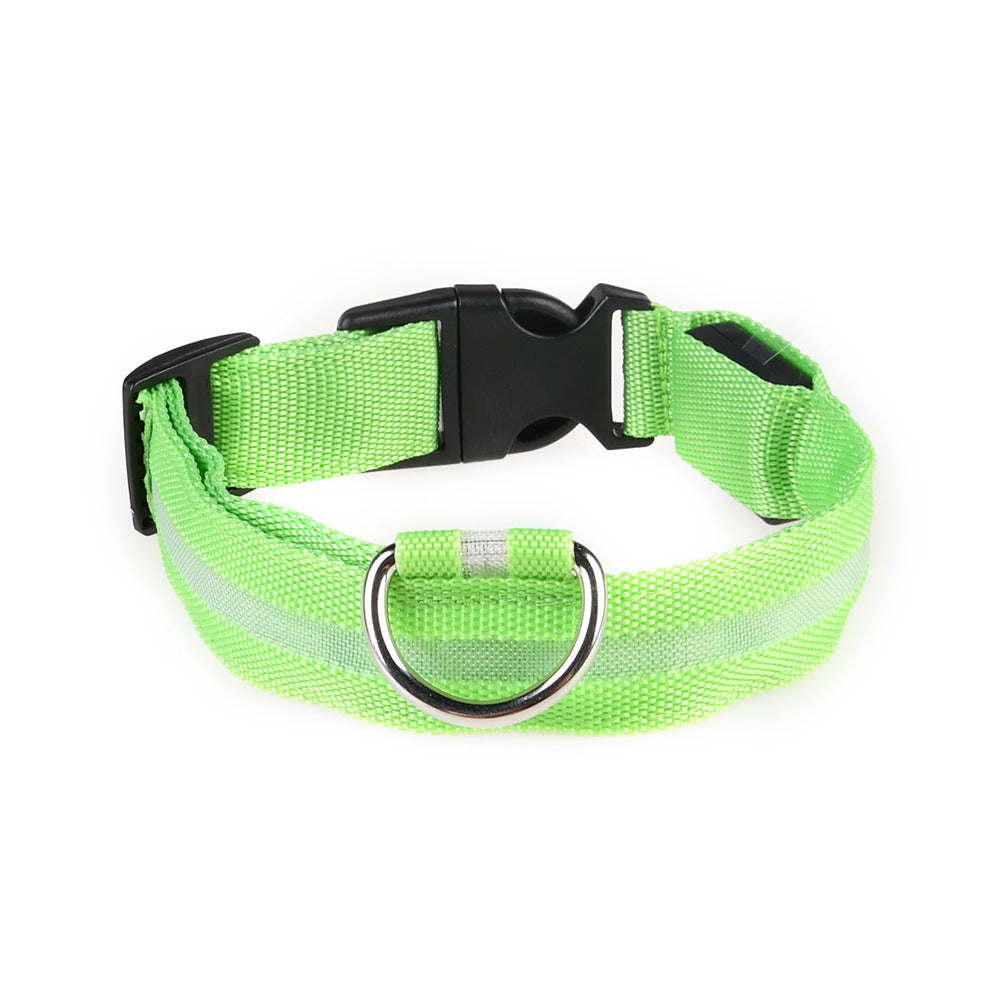 colliers lumineux pour chiens | LED