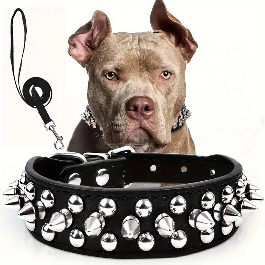 collier cuir pour chien | Semi-cuir