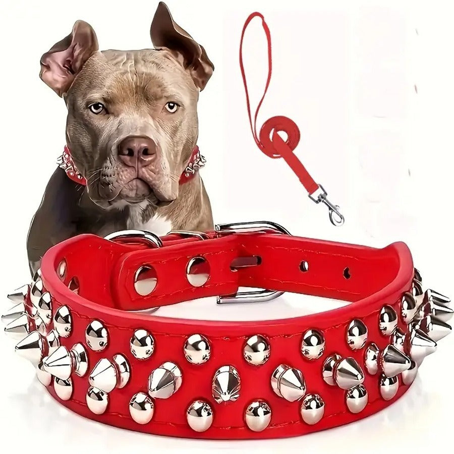 collier cuir pour chien | Semi-cuir