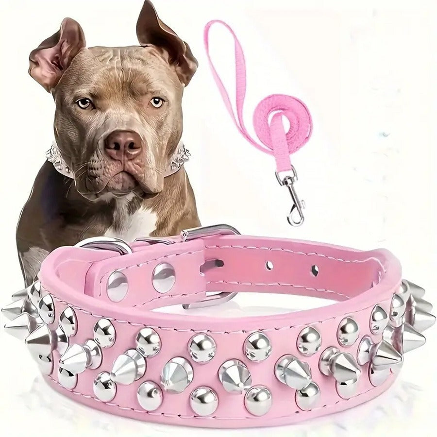 collier cuir pour chien | Semi-cuir