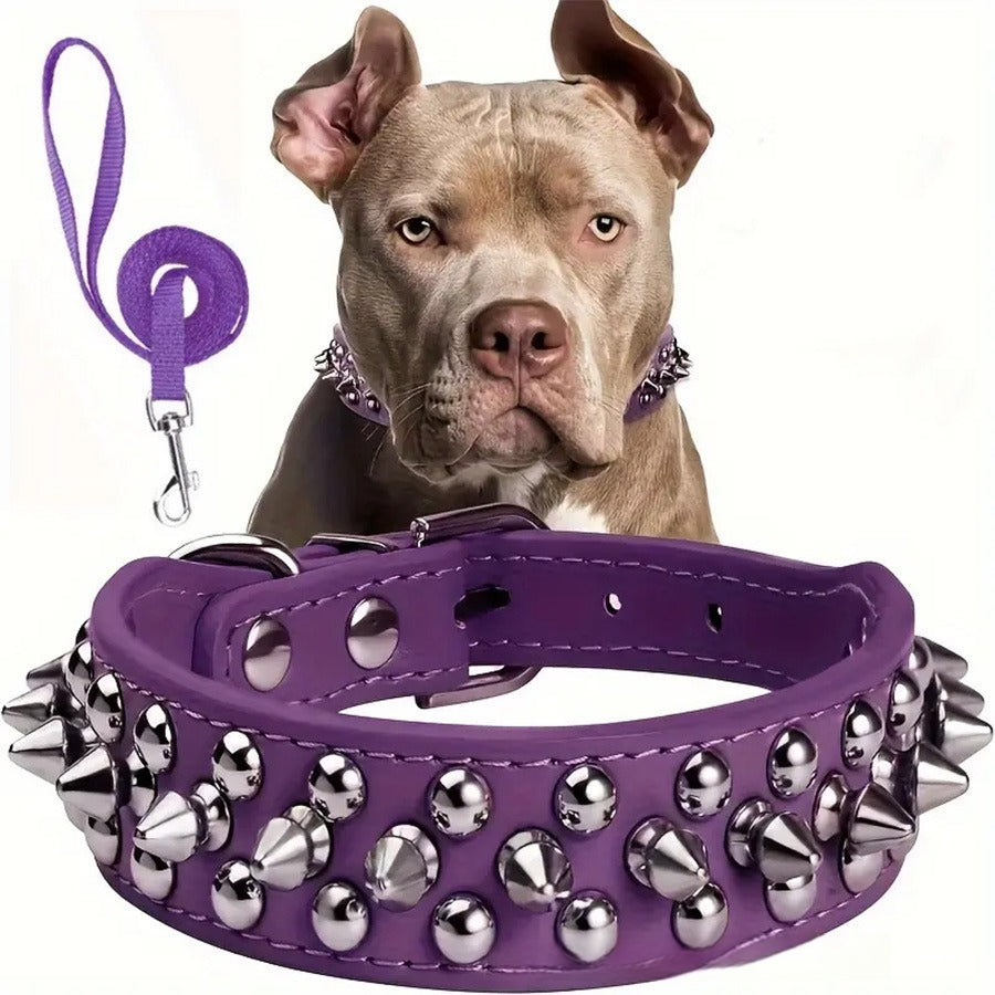 collier cuir pour chien | Semi-cuir