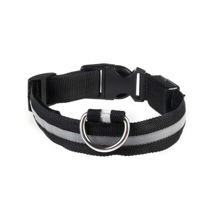Chien collier lumineux | Fashion