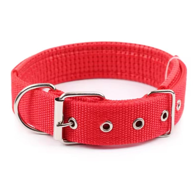 collier pour chien | Nylon