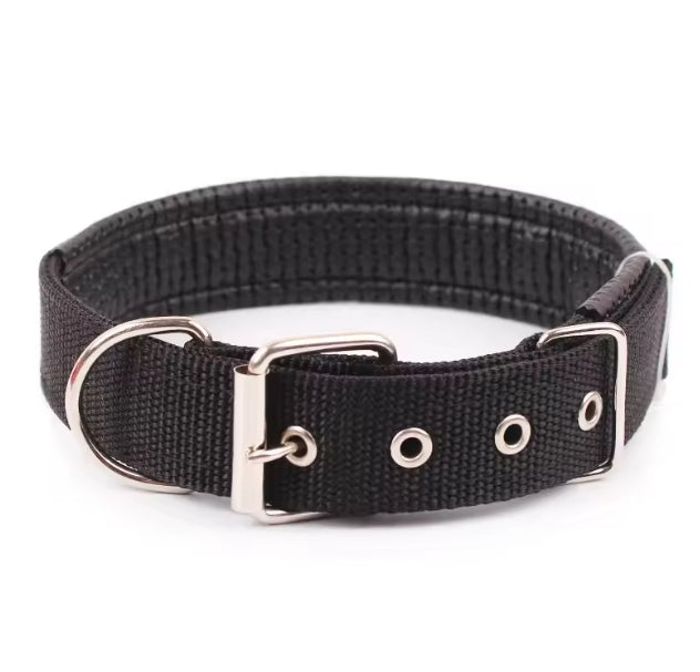 collier pour chien | Nylon