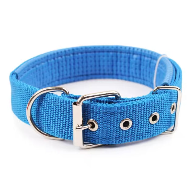 collier pour chien | Nylon