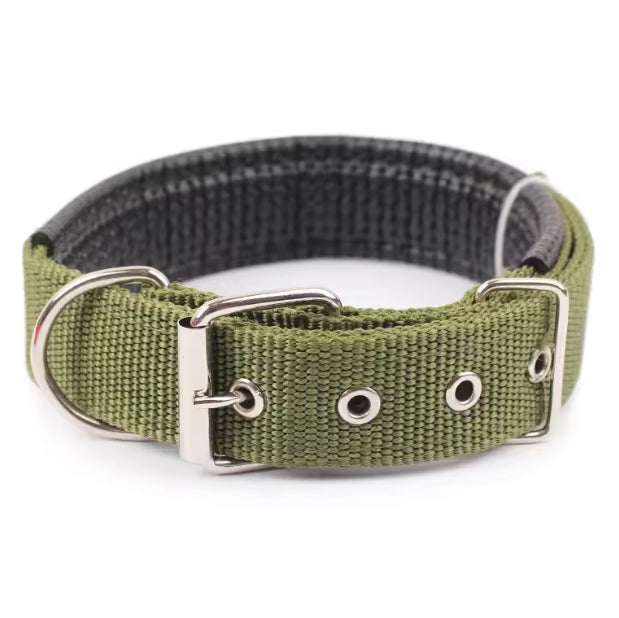 collier pour chien | Nylon
