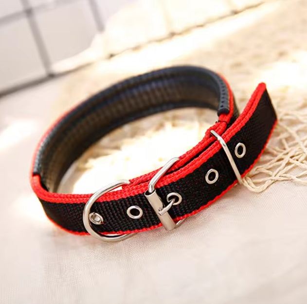 collier pour chien | Nylon