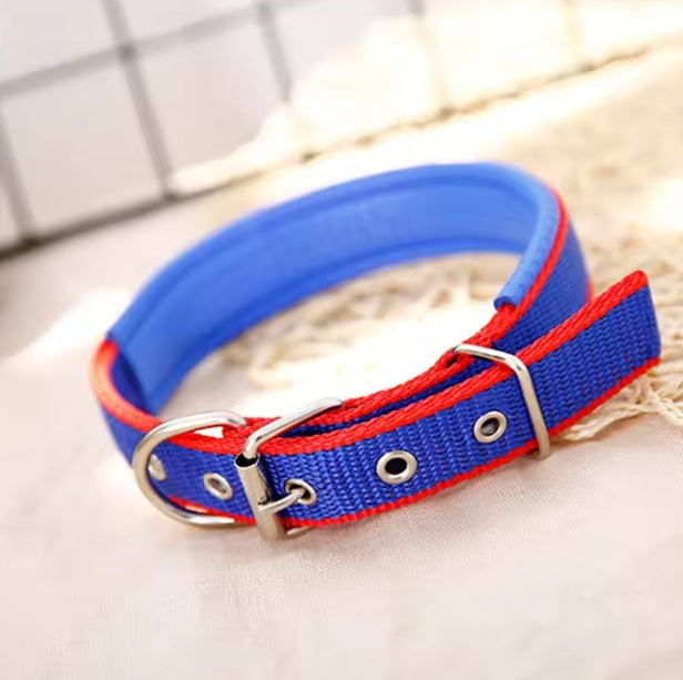 collier pour chien | Nylon