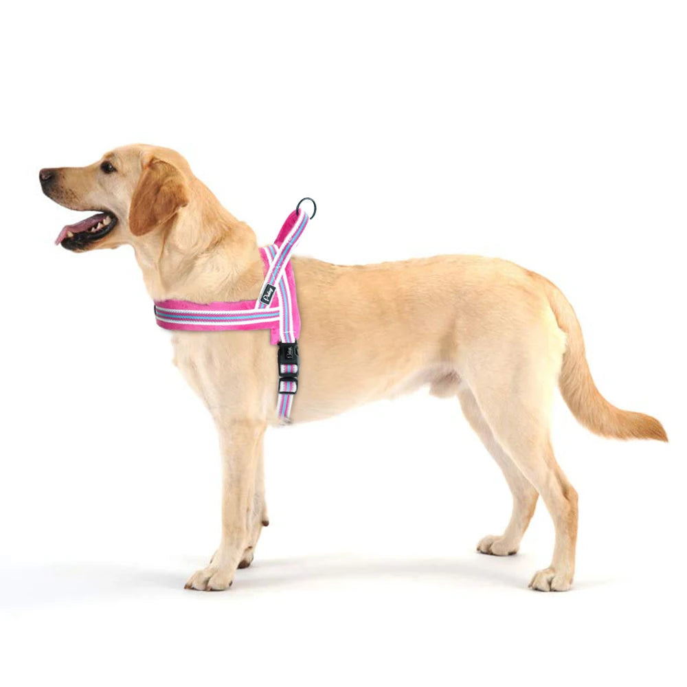 Harnais pour chien - Ajustable