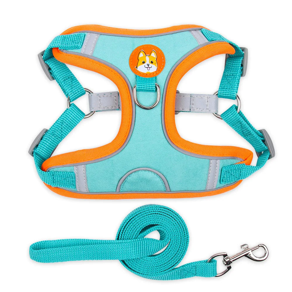 Harnais chien anti traction - Nylon