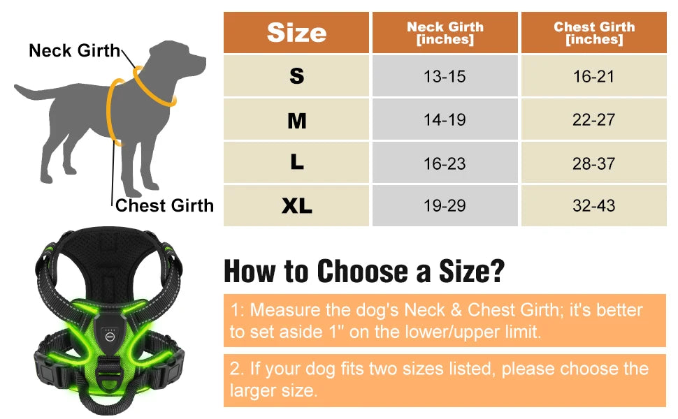 Harnais anti traction chien - Lumineux