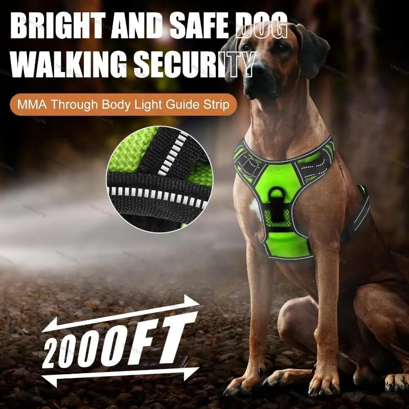Harnais anti traction chien - Lumineux
