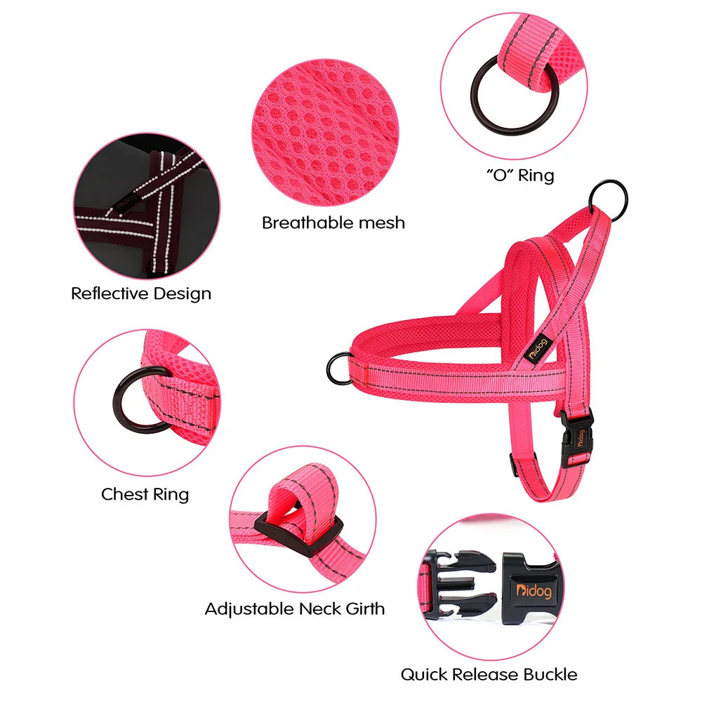 Harnais pour chien - Ajustable
