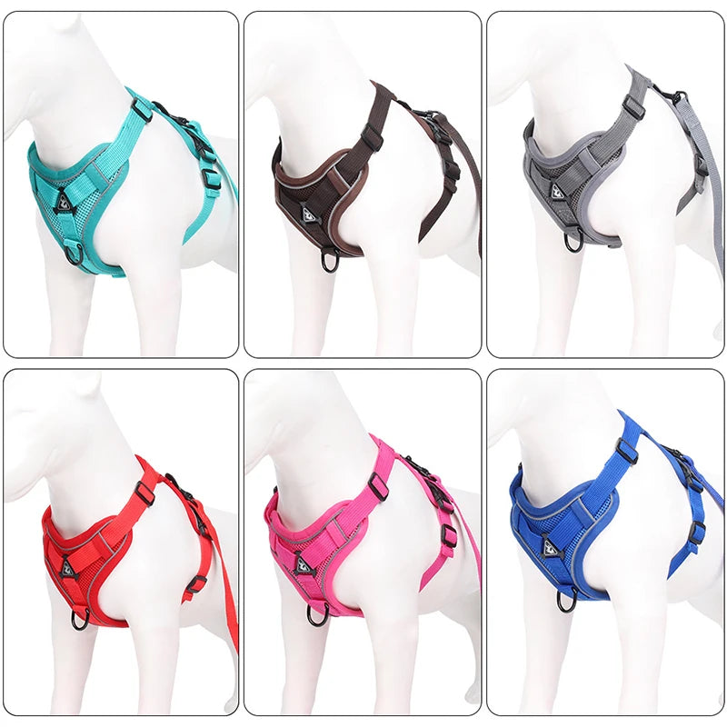 Harnais pour chien | Ensemble