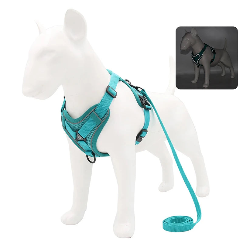 Harnais pour chien | Ensemble