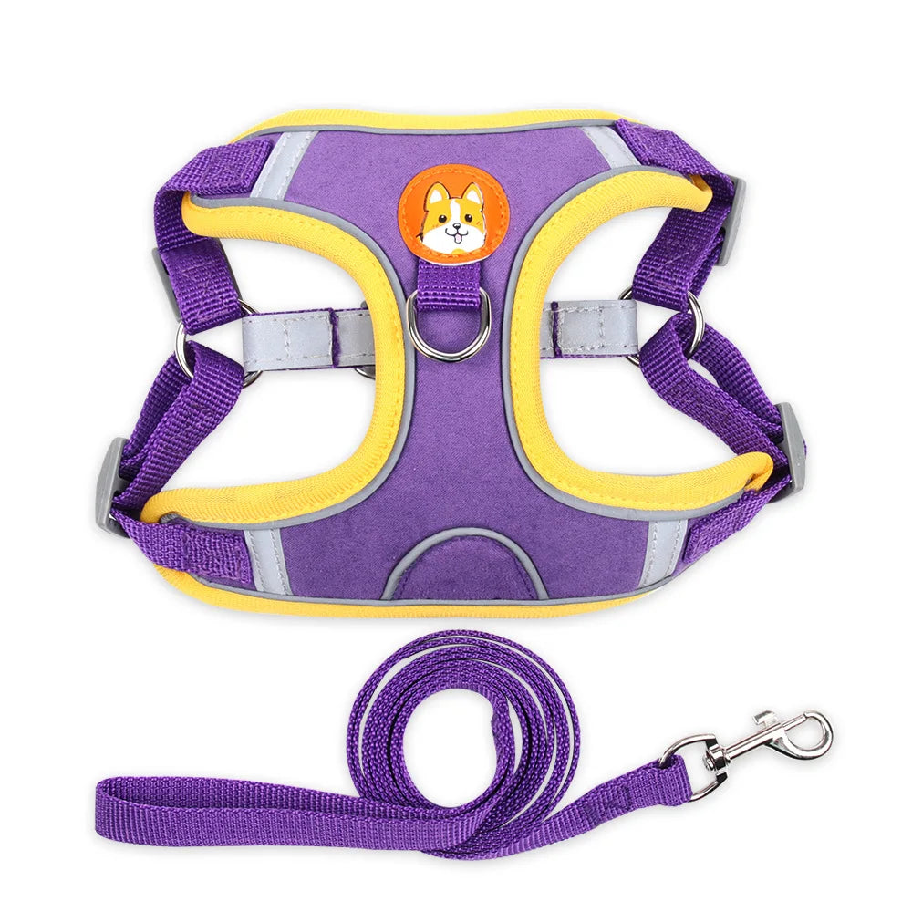 Harnais chien anti traction - Nylon