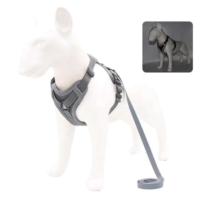 Harnais pour chien | Ensemble