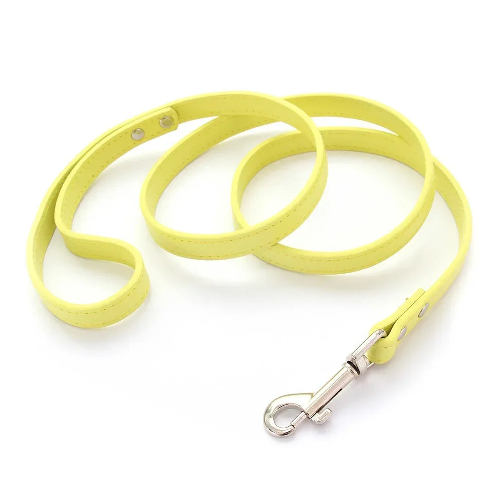 Laisse pour chien - Cuir
