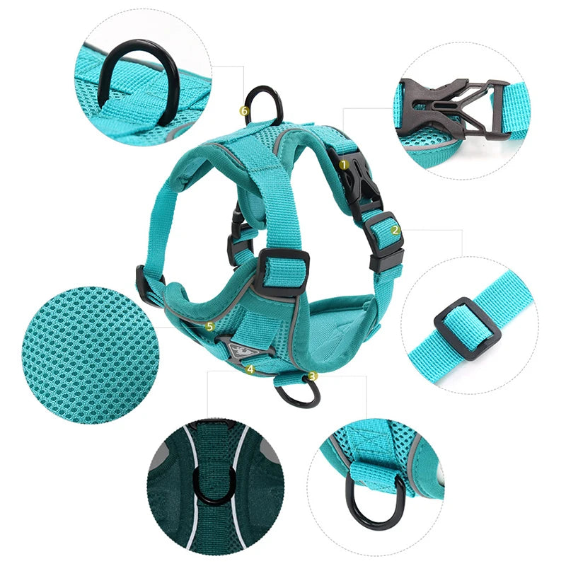 Harnais pour chien | Ensemble