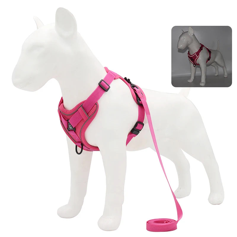 Harnais pour chien | Ensemble