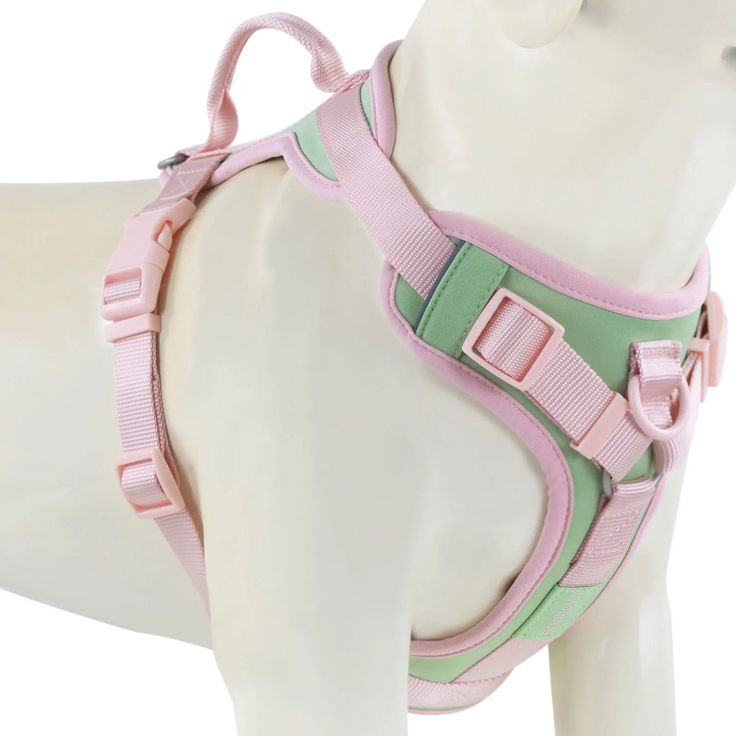 harnais anti traction chien - Luxueux