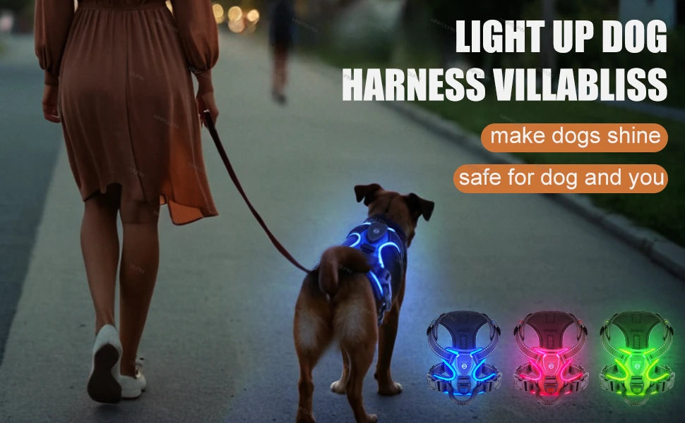 Harnais anti traction chien - Lumineux