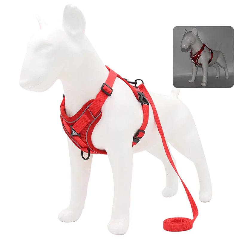 Harnais pour chien | Ensemble