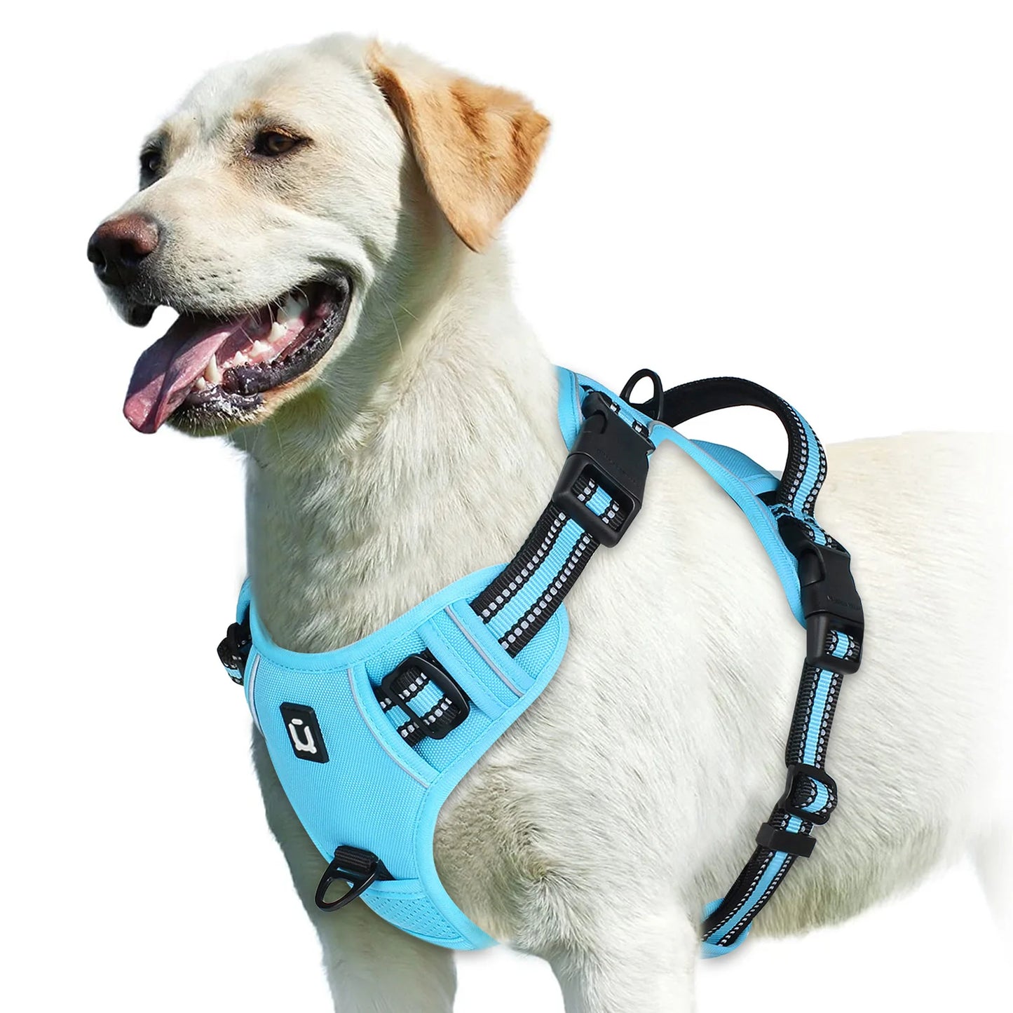 Harnais chien anti traction - Rembourré
