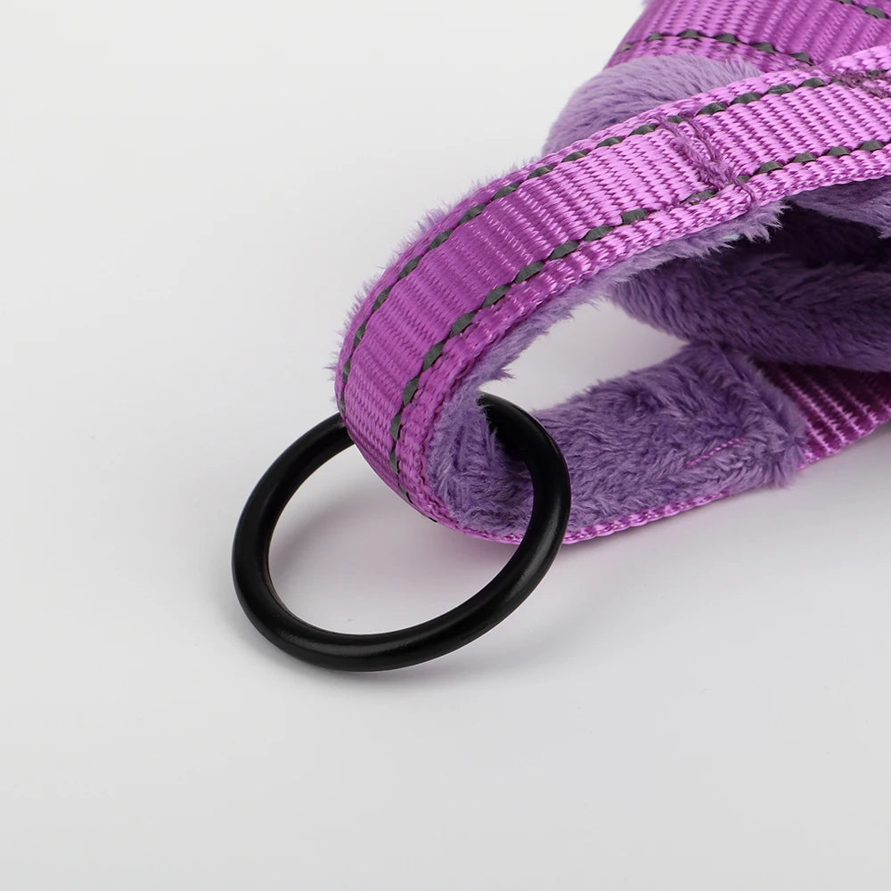 Harnais pour chien - Ajustable