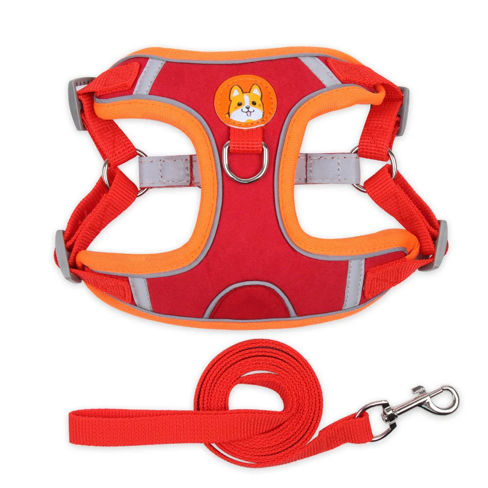Harnais chien anti traction - Nylon