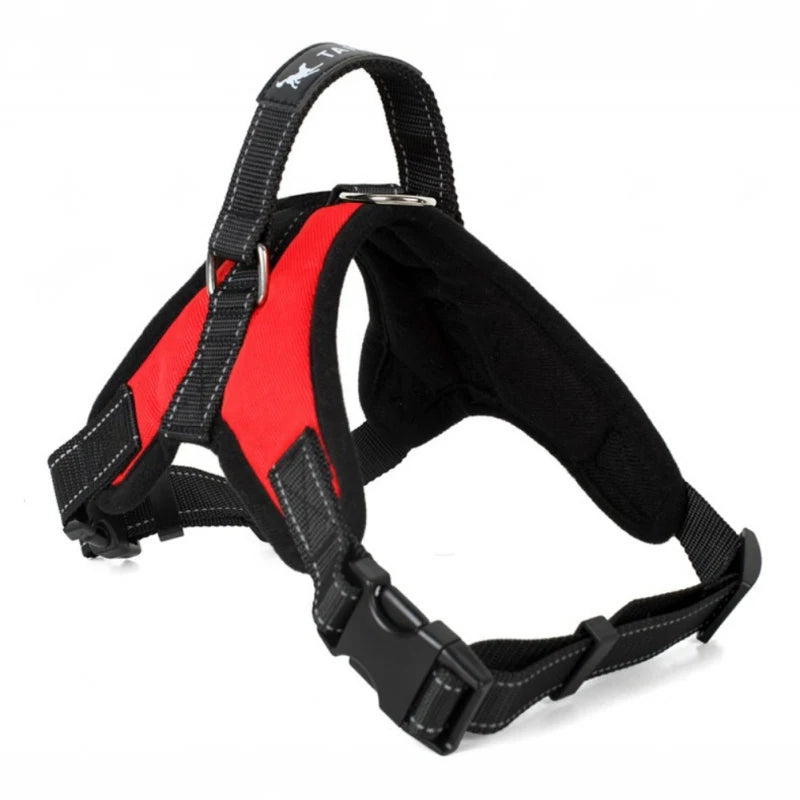 harnais anti traction chien - Tailup
