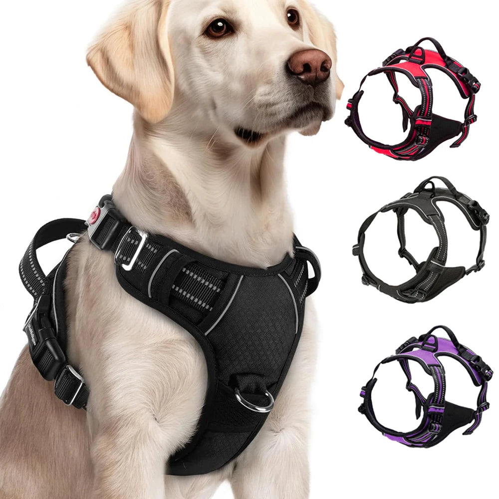Harnais chien anti traction - Oxford