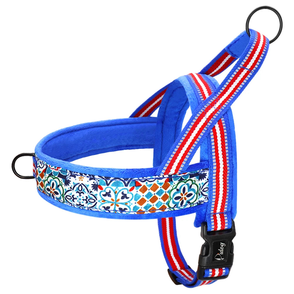 Harnais pour chien - Ajustable