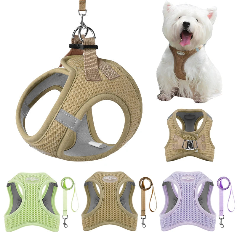 Harnais chien | Chiot