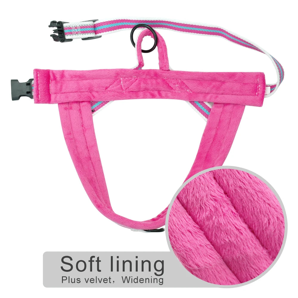 Harnais pour chien - Ajustable