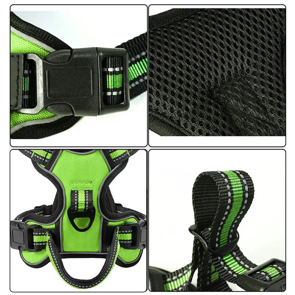 Harnais chien | Ajustable