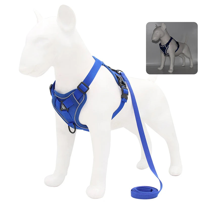 Harnais pour chien | Ensemble