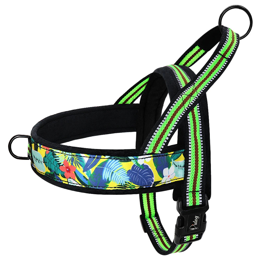 Harnais pour chien - Ajustable