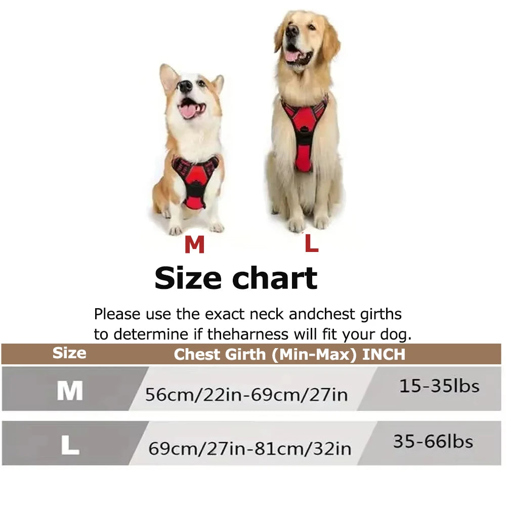 Harnais chien anti traction - Oxford