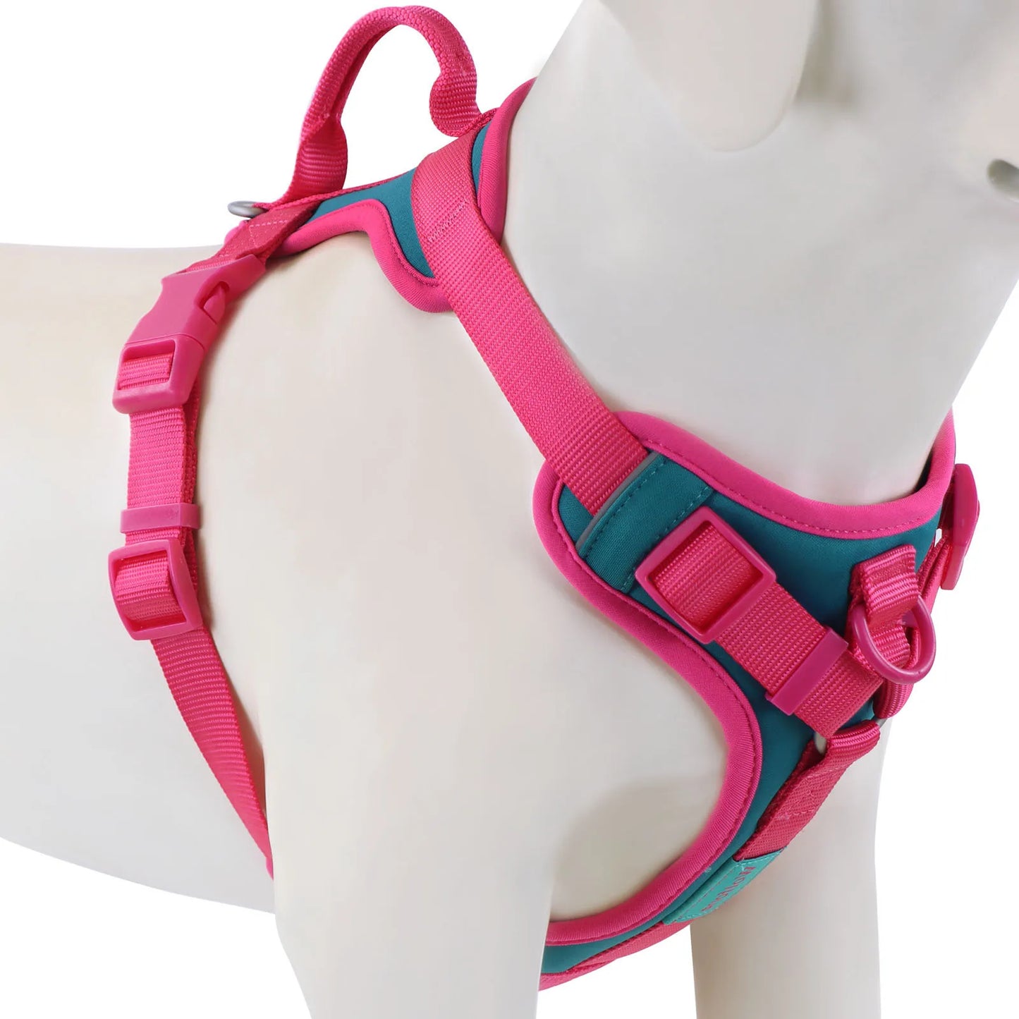 harnais anti traction chien - Luxueux
