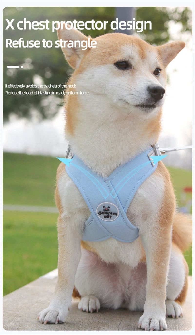 Harnais anti traction chien - Model X