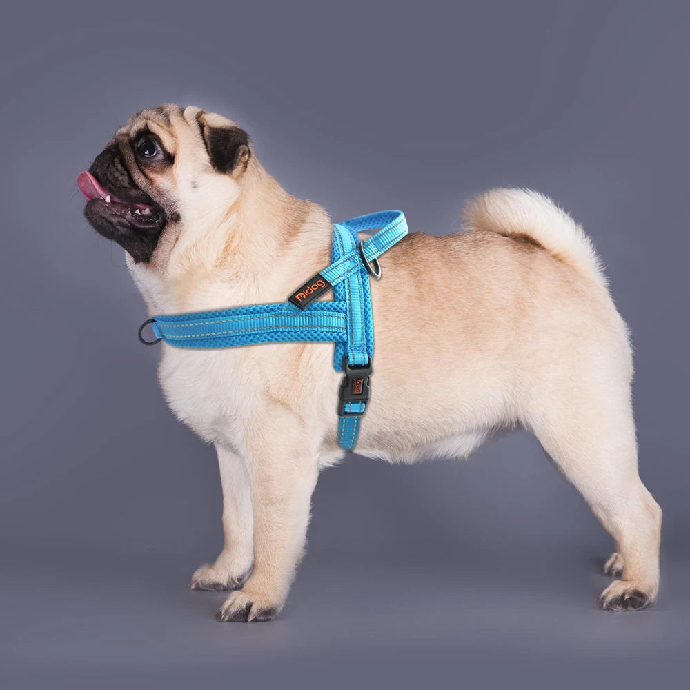 Harnais pour chien - Ajustable