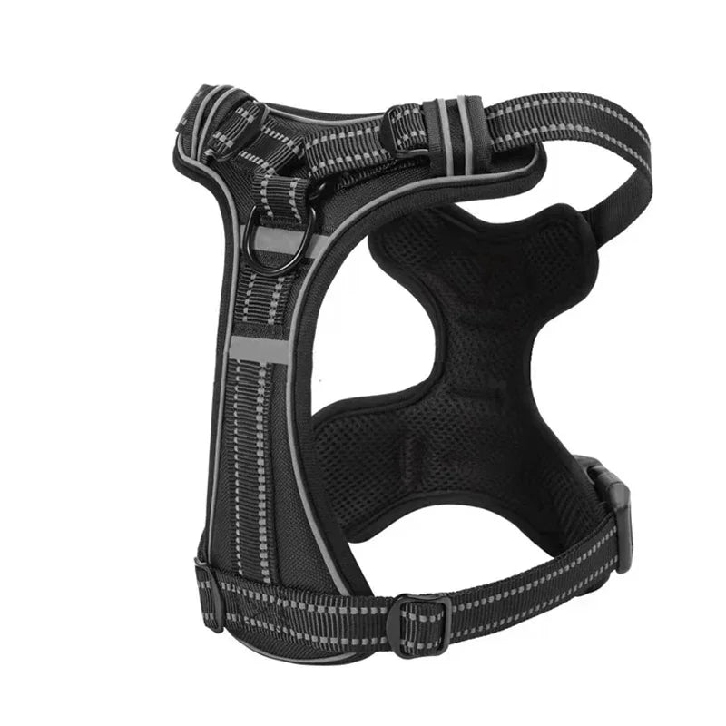 Harnais chien | Ajustable