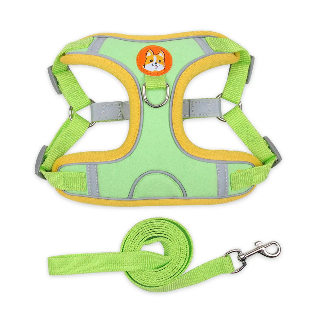 Harnais chien anti traction - Nylon