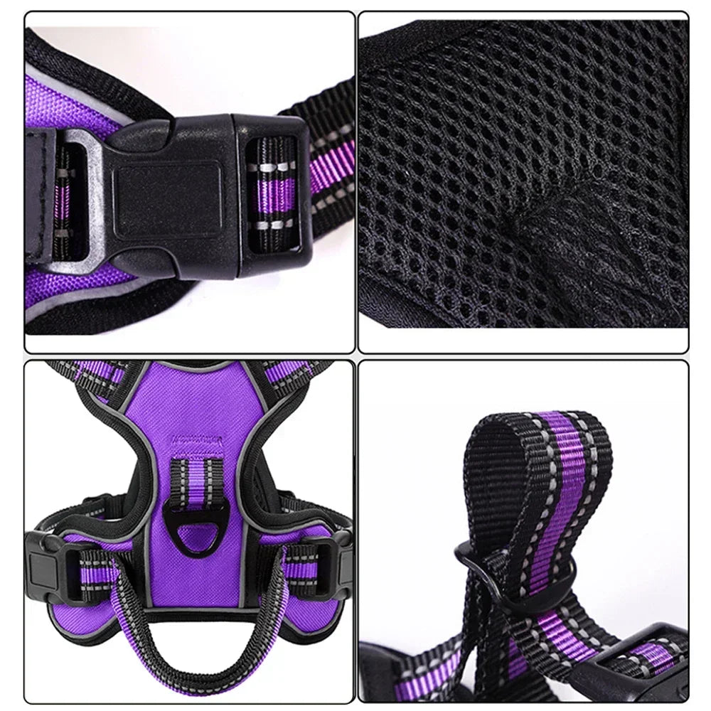 Harnais chien | Ajustable