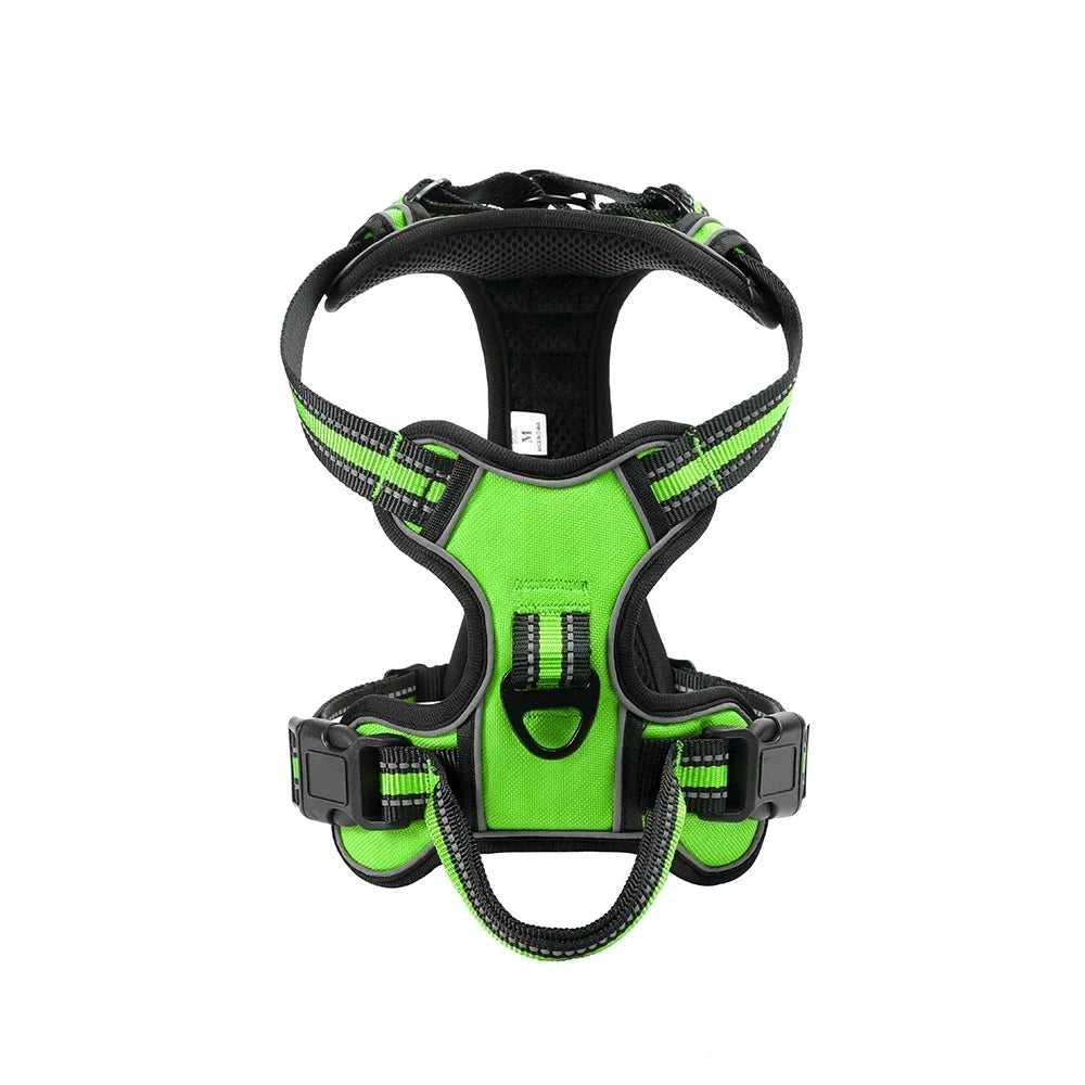 Harnais chien | Ajustable