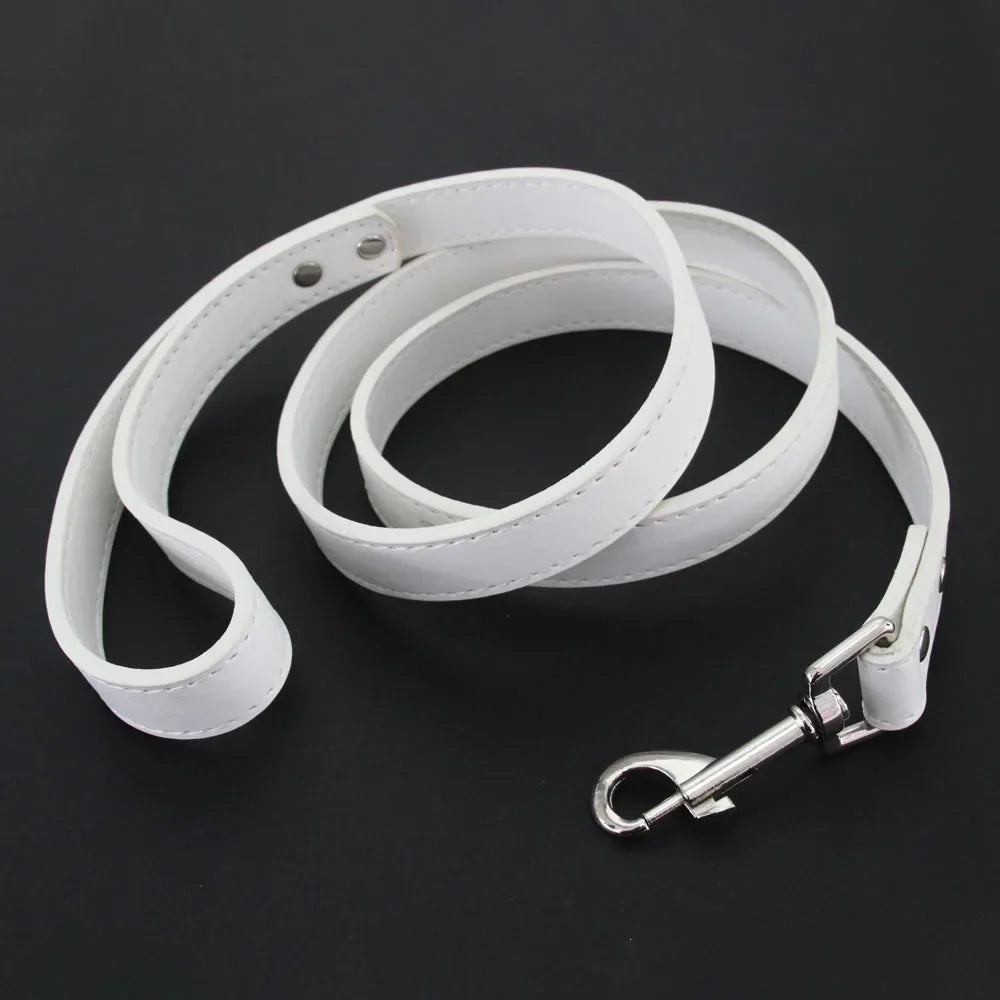 Laisse pour chien - Cuir