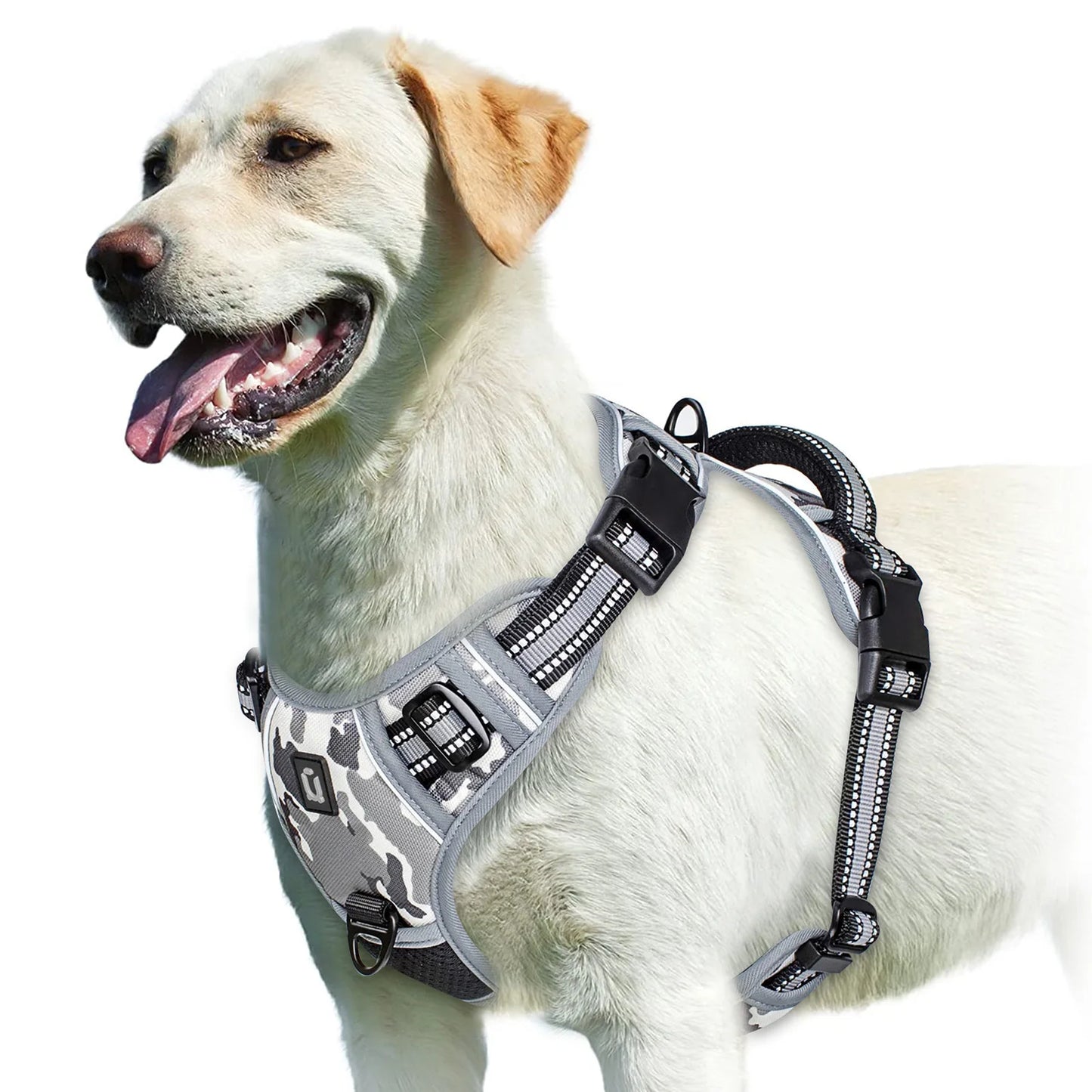Harnais chien anti traction - Rembourré