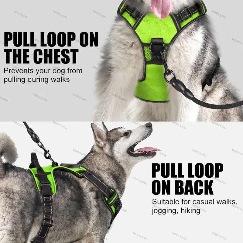Harnais anti traction chien - Lumineux