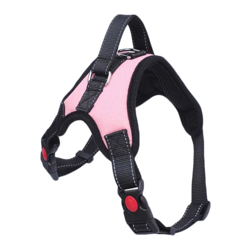 harnais anti traction chien - Tailup